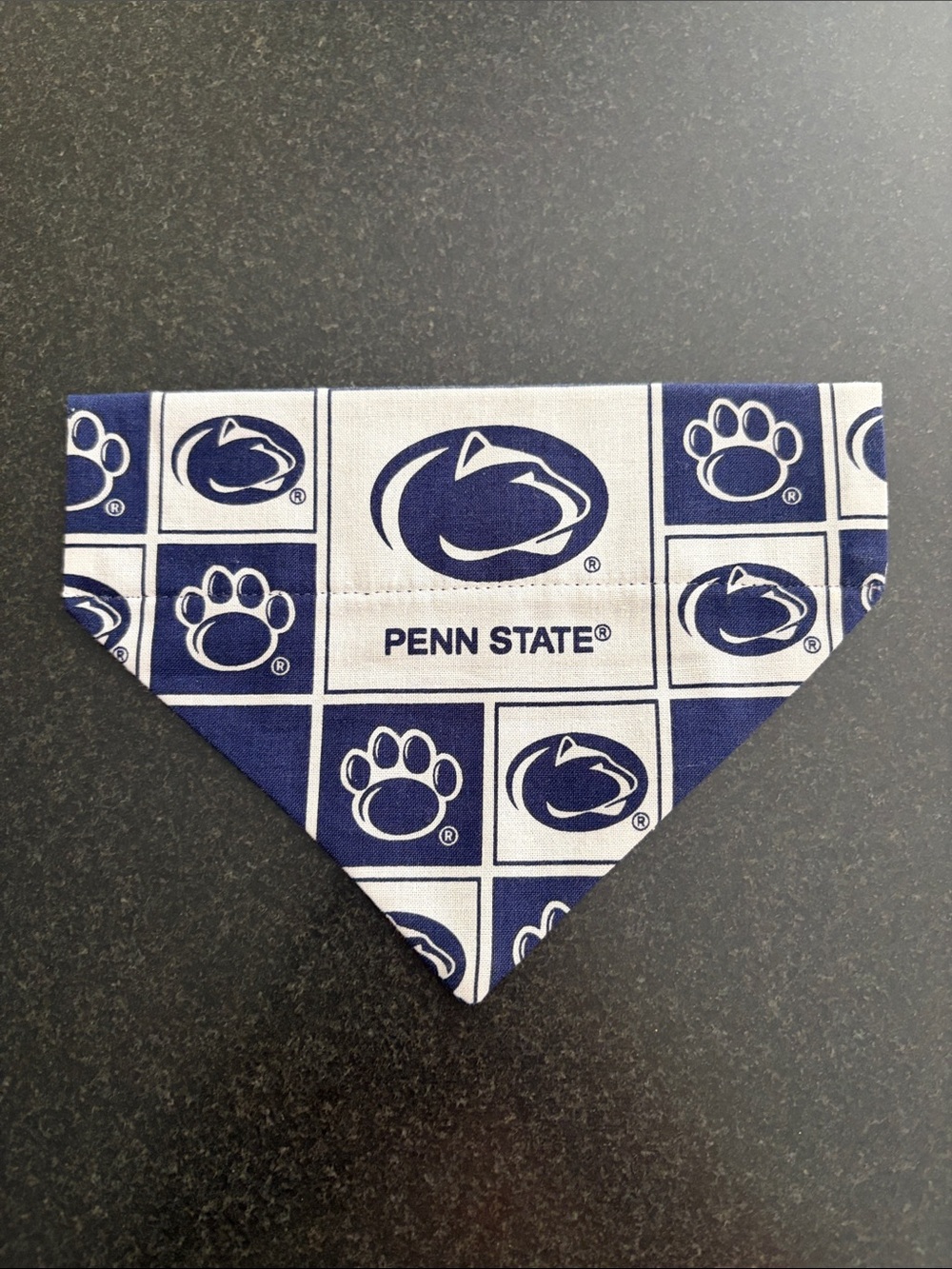 Blue & White Small Pet Bandana